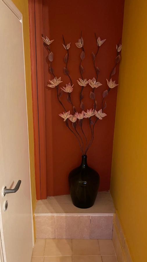 Casa Di Spili - Corfu Old Town Apartment Buitenkant foto